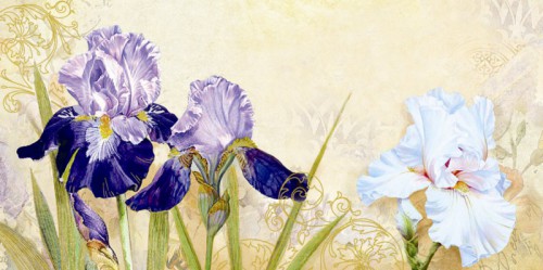 Ирис, рисунок — открытка № | Flower artwork, Floral art paintings, Iris flowers