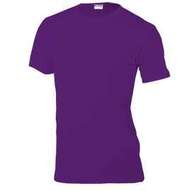 Мужские футболки Topic кор.рукав 100% хб  фиолетовый 2XL, Цвет: фиолетовый, Размер: 2XL
