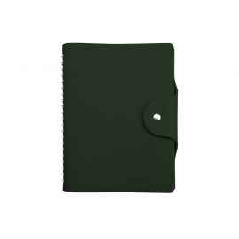 Ежедневник недатированный А5 Torino, 3-685.04, Цвет: зеленый