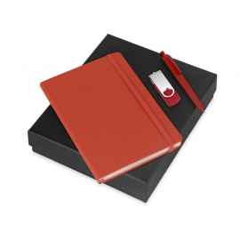 Подарочный набор Vision Pro Plus soft-touch с флешкой, ручкой и блокнотом А5, 8Gb, 700342.01, Цвет: красный,красный, Размер: 8Gb
