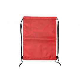 Рюкзак-холодильник GRAJA, TB7604S160, Цвет: красный