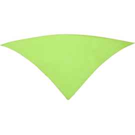 Шейный платок FESTERO треугольной формы, PN900369, Цвет: зеленое яблоко