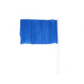 Флаг CELEB с небольшим флагштоком, PF3103S105, Цвет: синий