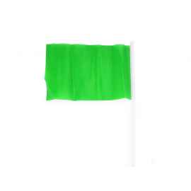 Флаг CELEB с небольшим флагштоком, PF3103S1226, Цвет: зеленый
