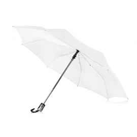 Зонт складной Alex, 10901604p, Цвет: белый