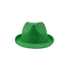 Шляпа DUSK, GO7060S1226, Цвет: зеленый