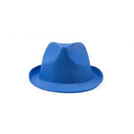 Шляпа DUSK, GO7060S105, Цвет: синий