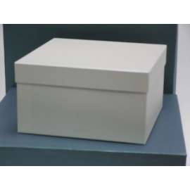Прямоугольная коробка 20-20-11