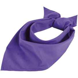 Шейный платок Bandana, темно-фиолетовый, Цвет: фиолетовый
