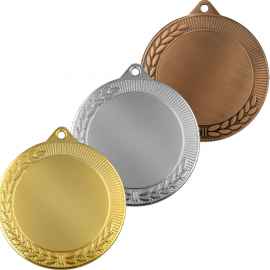 3582-070 Медаль Ахалья, бронза, Цвет: Бронза