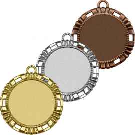 3595-070 Медаль Вишалья, бронза, Цвет: Бронза