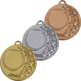 3647-000 Медаль Тулома, золото, Цвет: Золото