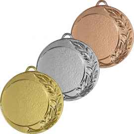 3651-000 Медаль Колежма, бронза, Цвет: Бронза