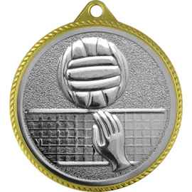Медаль волейбол, золото