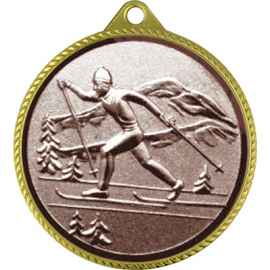 Медаль Лыжный спорт (спорт), золото