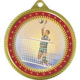 Медаль Волейбол, золото