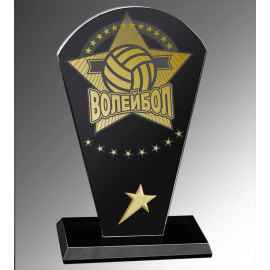 Награда Волейбол с лазерной гравировкой и фольгой, 17 (черный)