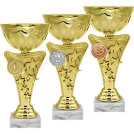 5936-000 Кубок Ширли 1,2,3 место, золото, Цвет: Золото