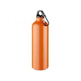 Алюминиевая бутылка Oregon с карабином, 10029707p, Цвет: оранжевый, Объем: 770