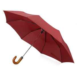 Зонт складной Cary, 979078p, Цвет: бордовый
