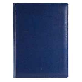 Еженедельник Nebraska, датированный, синий, Цвет: синий, Размер: 19