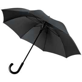 Зонт-трость Alessio, черный, Цвет: черный, Размер: Длина 82 см
