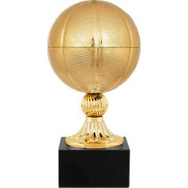 Награда Баскетбол (золото)