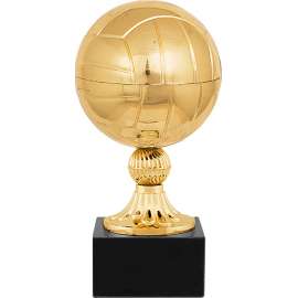 Награда Волейбол (золото)