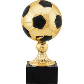 Награда Футбол (золото)