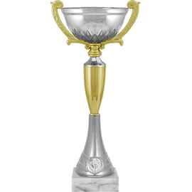 6635-350-210 Кубок Челси, серебро (золото)