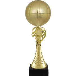 Кубок Тефида баскетбол, золото (золото), Цвет: Золото