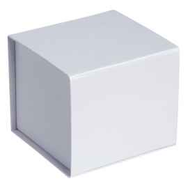 Коробка Alian, белая, Цвет: белый, Размер: 13