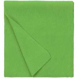 Шарф Life Explorer, зеленый (салатовый), Цвет: зеленый, Размер: 25х180 см