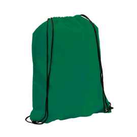 Рюкзак SPOOK, зеленый, 42*34 см,  полиэстер 210 Т, Цвет: зеленый, Размер: 42 х 34 см