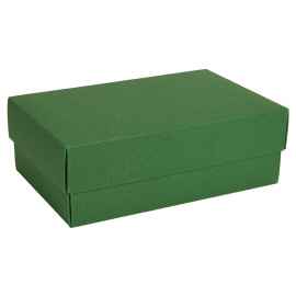 Коробка картонная, 'COLOR' 11,5*6*17 см, зеленый, Цвет: зеленый