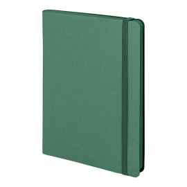 Ежедневник недатированный Shady, А5,  зеленый, кремовый блок, темно-зеленый обрез, Цвет: зеленый