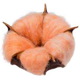 Цветок хлопка Cotton, оранжевый, Цвет: оранжевый, Размер: коробка: 13х19х6 см