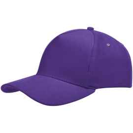 Бейсболка Standard, фиолетовая, Цвет: фиолетовый