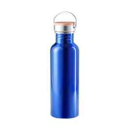 Бутылка для воды  TULMAN, сталь, 800 мл, синий, Цвет: синий