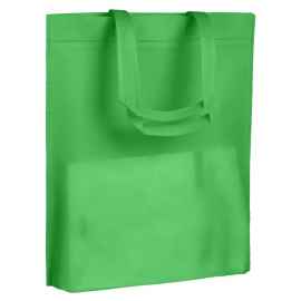 Сумка для покупок Span 70, зеленая, Цвет: зеленый, Размер: 46х38 см, дно: 6 с