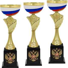 5649-000 Кубок Лораний 1,2,3 место, золото