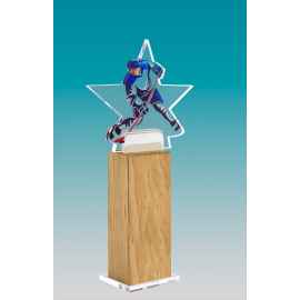 Акриловая награда на деревянной подставке Хоккей, 5х25х4