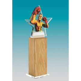 Акриловая награда на деревянной подставке Бокс, 5х25х4