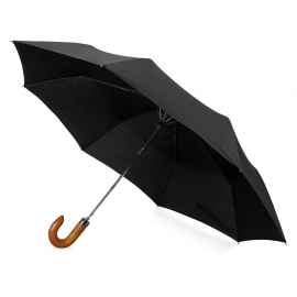 Зонт складной Cary, 979077, Цвет: черный