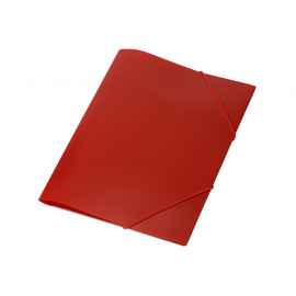 Папка А4 на резинке, 19200.01, Цвет: красный