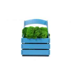 Композиция Корзинка со мхом, 4500603, Цвет: зеленый,синий