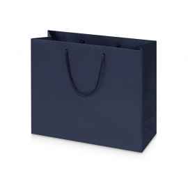 Пакет подарочный Imilit W, 9911202, Цвет: синий