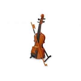 Подарочный набор Скрипка Паганини, 514221.01
