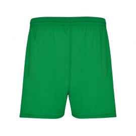Спортивные шорты Calcio мужские, L, 4840226L, Цвет: зеленый, Размер: L