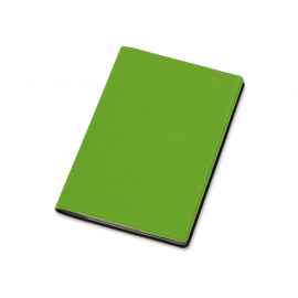 Обложка для паспорта Favor, 113313, Цвет: зеленое яблоко